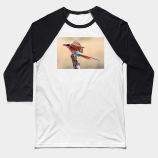 Carmine Bee-eater, Botswana Baseball T-Shirt